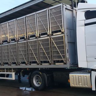 Containers transport de volailles
